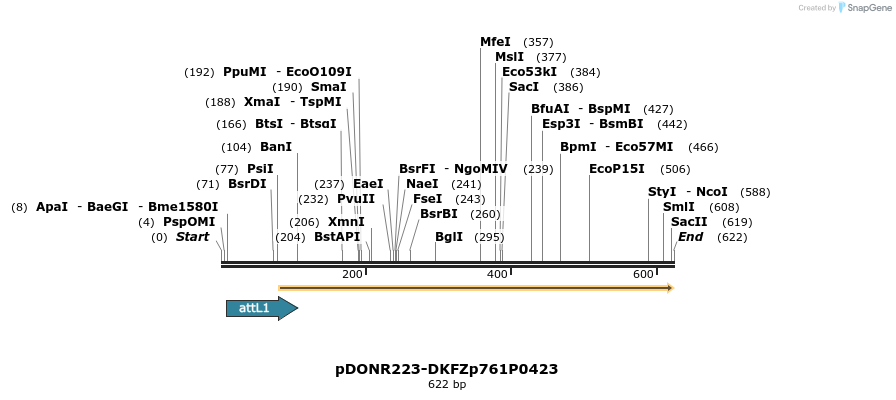 29336_map