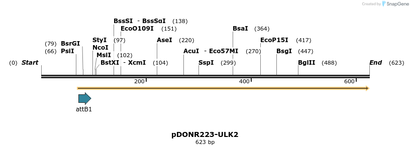 29337_map
