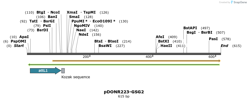 29339_map