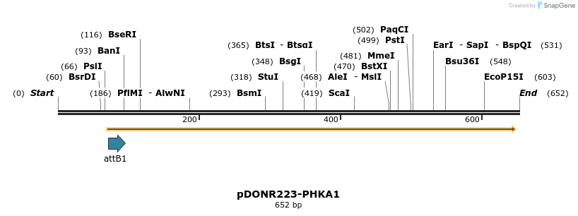 29340_map