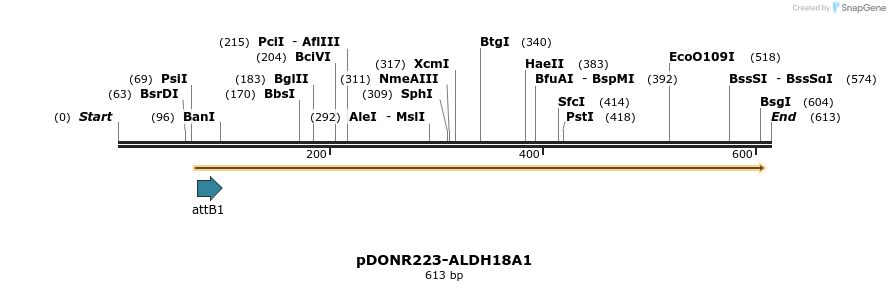 29343_map