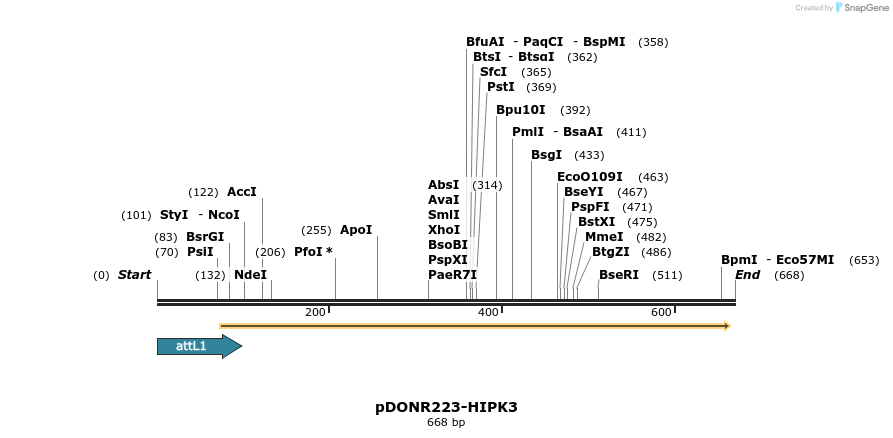 29344_map