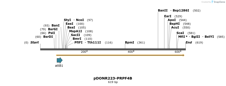 29346_map