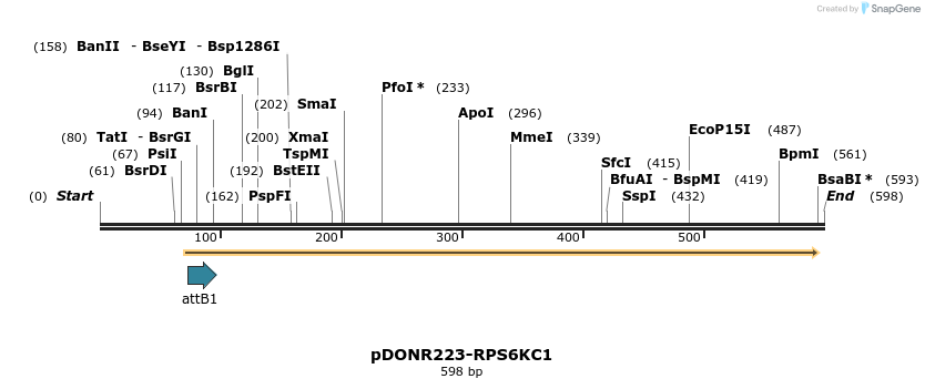 29349_map