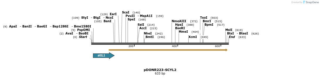 29351_map