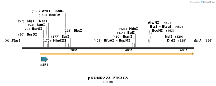 29352_map