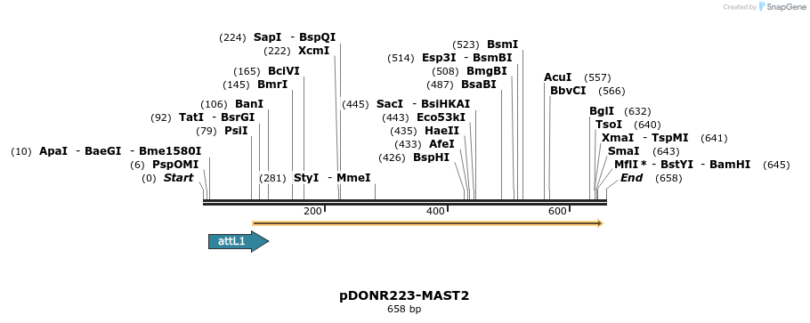 29353_map