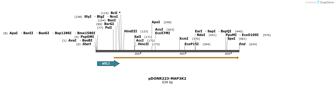 29355_map