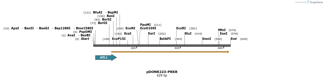 29357_map