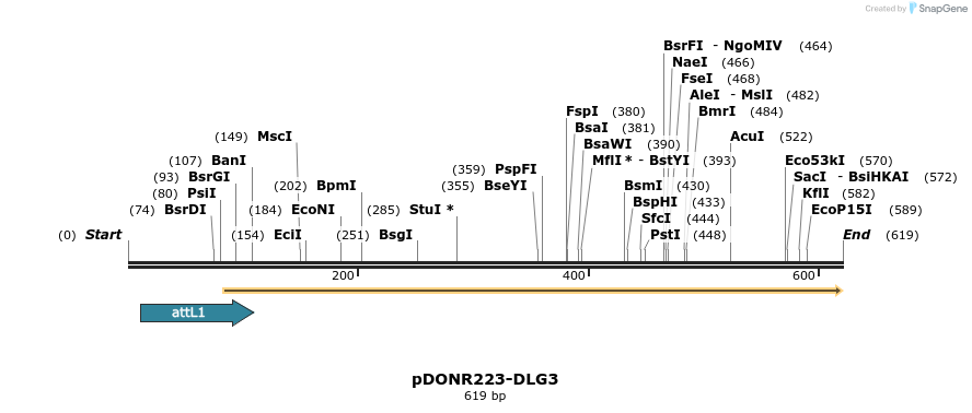 29358_map