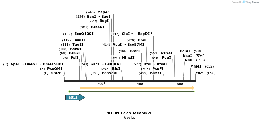 29359_map