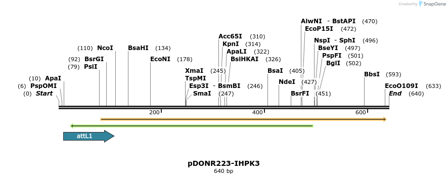 29360_map