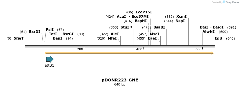 29361_map