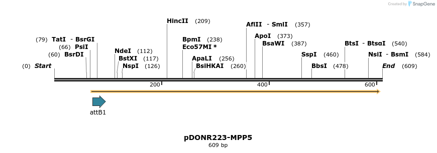 29362_map