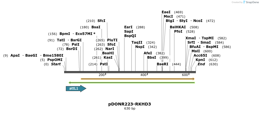 29363_map