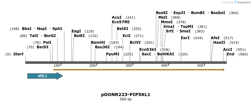 29366_map