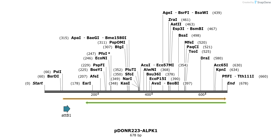 29367_map