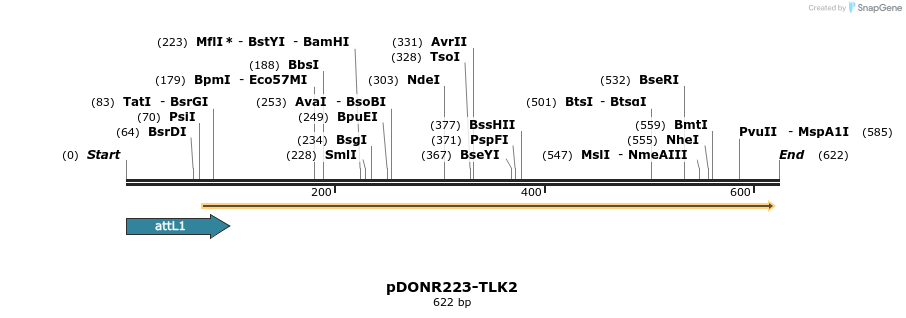 29368_map