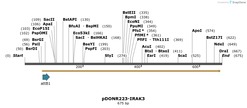 29370_map