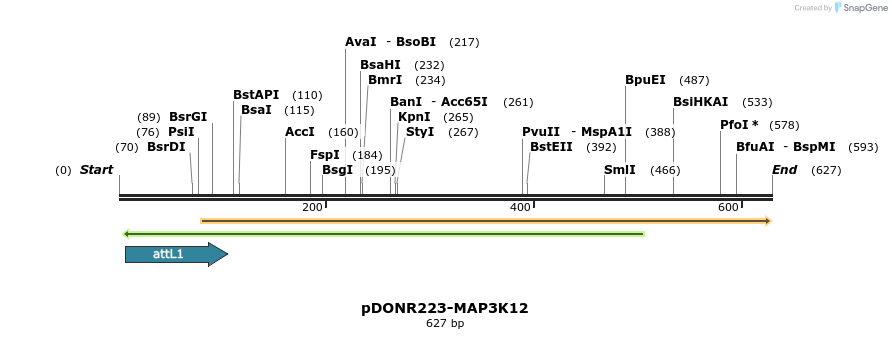 29371_map