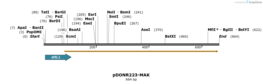 29373_map