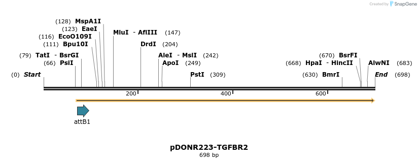 29374_map