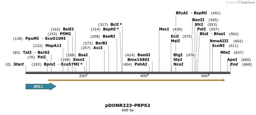 29375_map