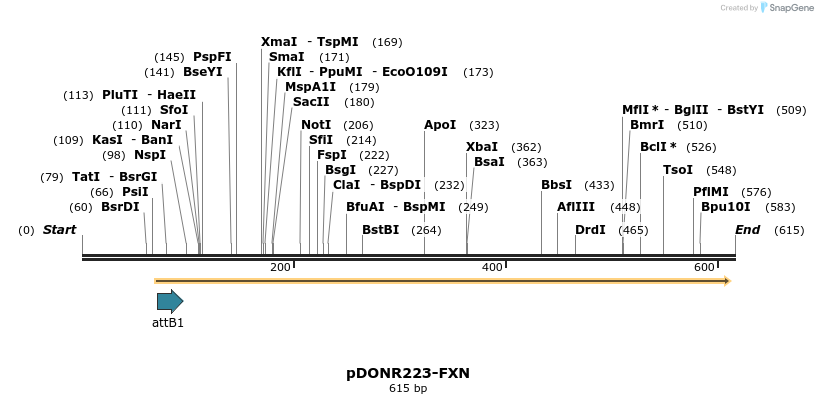 29377_map