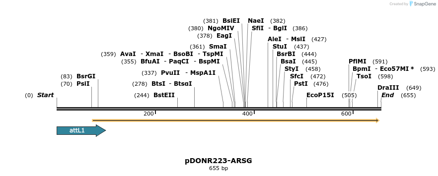 29378_map