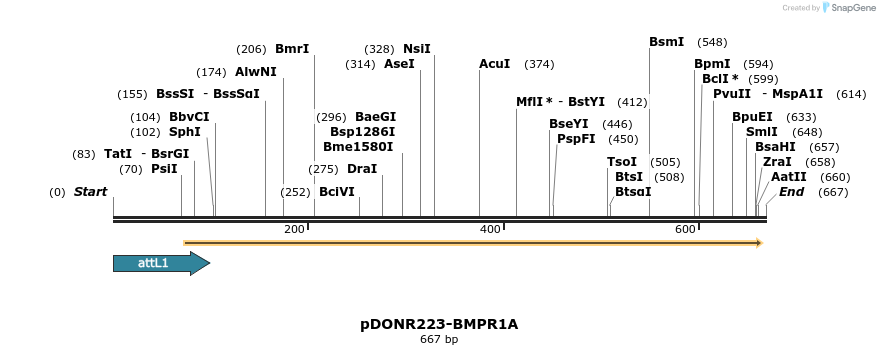 29379_map