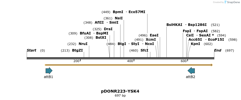 29381_map