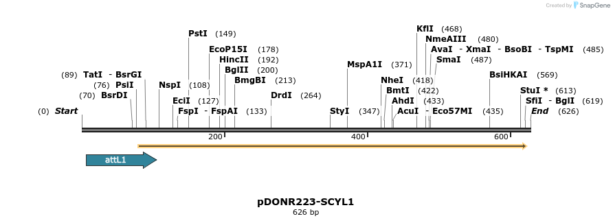 29383_map