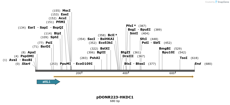 29384_map