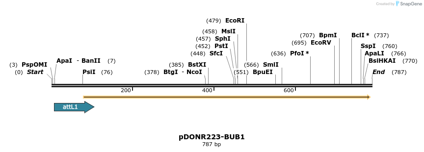 29385_map