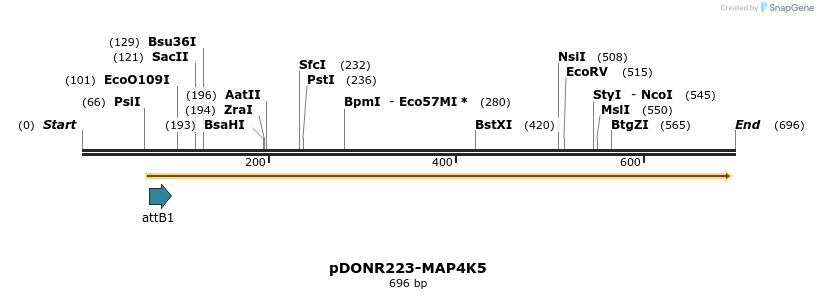 29386_map