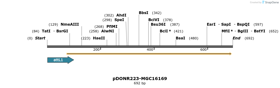 29387_map
