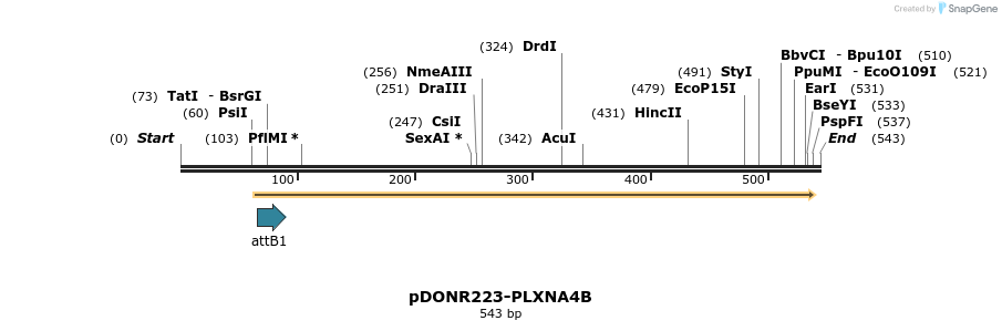 29389_map