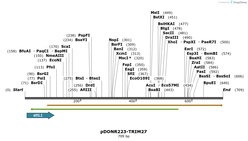 29390_map