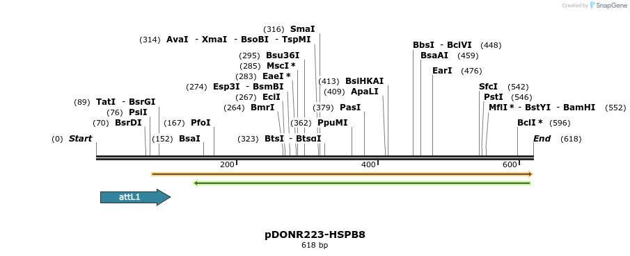 29391_map