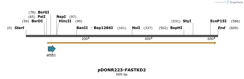 29392_map