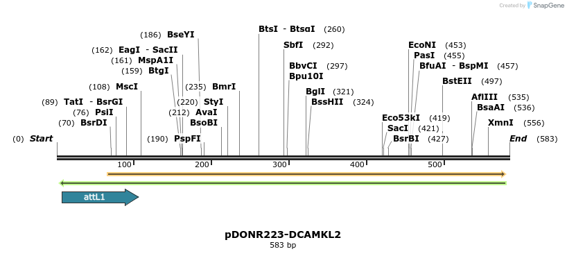 29393_map