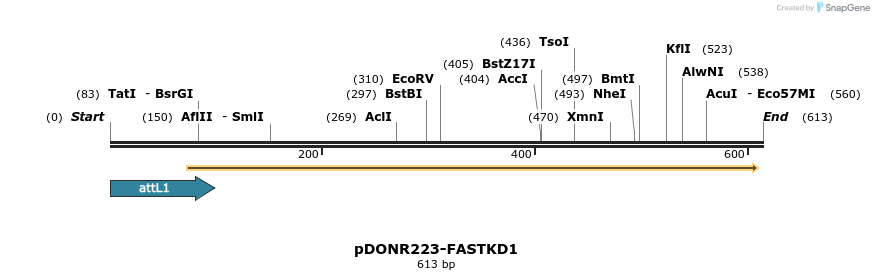 29394_map