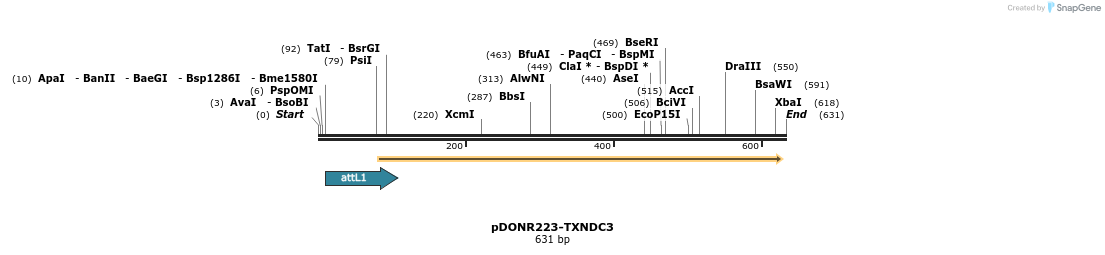 29395_map