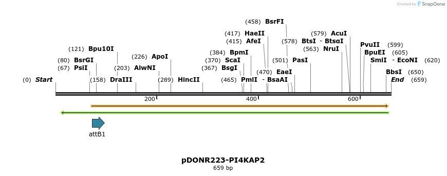 29396_map