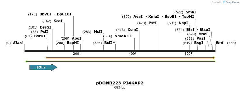 29397_map