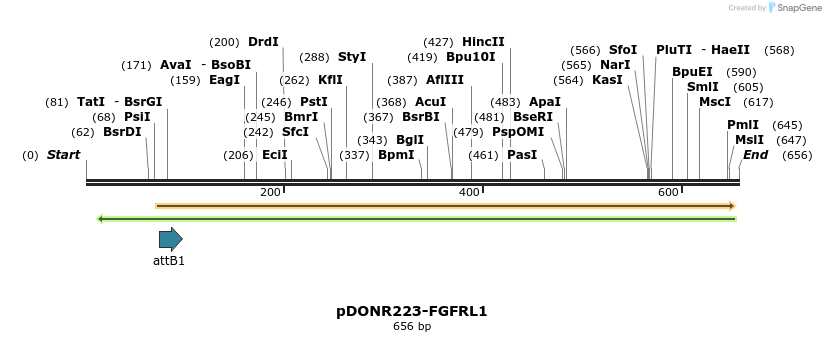 29398_map