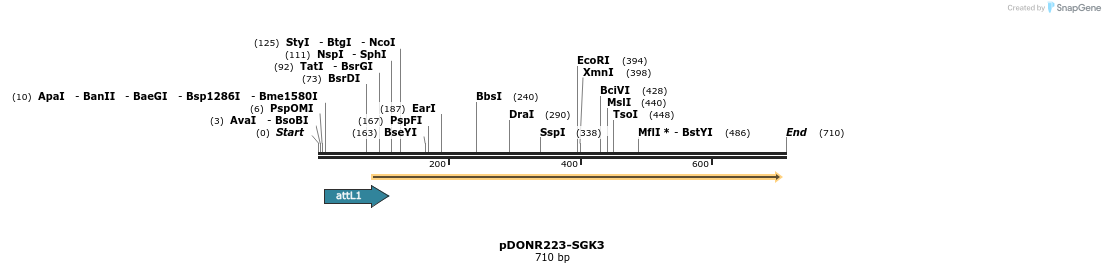 29399_map