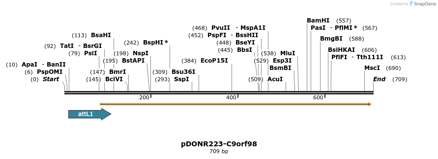 29400_map
