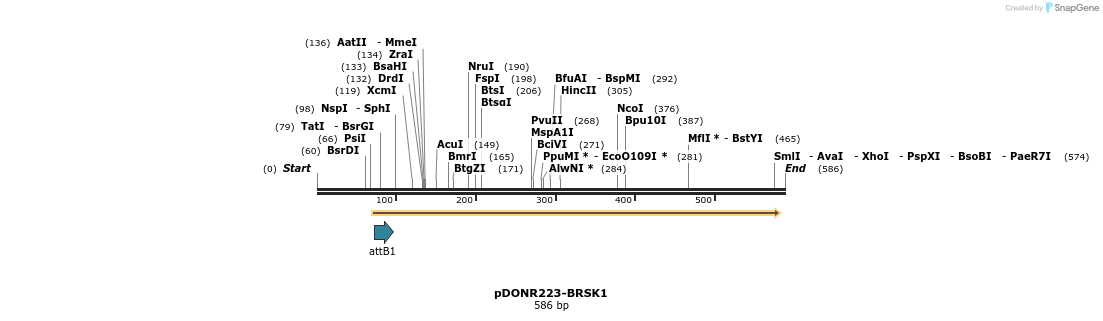 29401_map