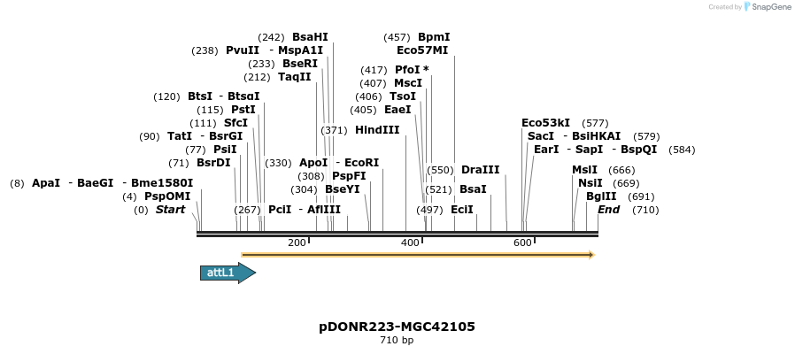 29402_map